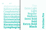 Pristine Pro - Elegant Slab Family, a Slab Serif Font by Azcreative Studio (Thumbnail 8 of 16)