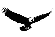 50 Flying Eagle Silhouette Vector Bu, an Illustration by Designs_River (Thumbnail 48 of 51)