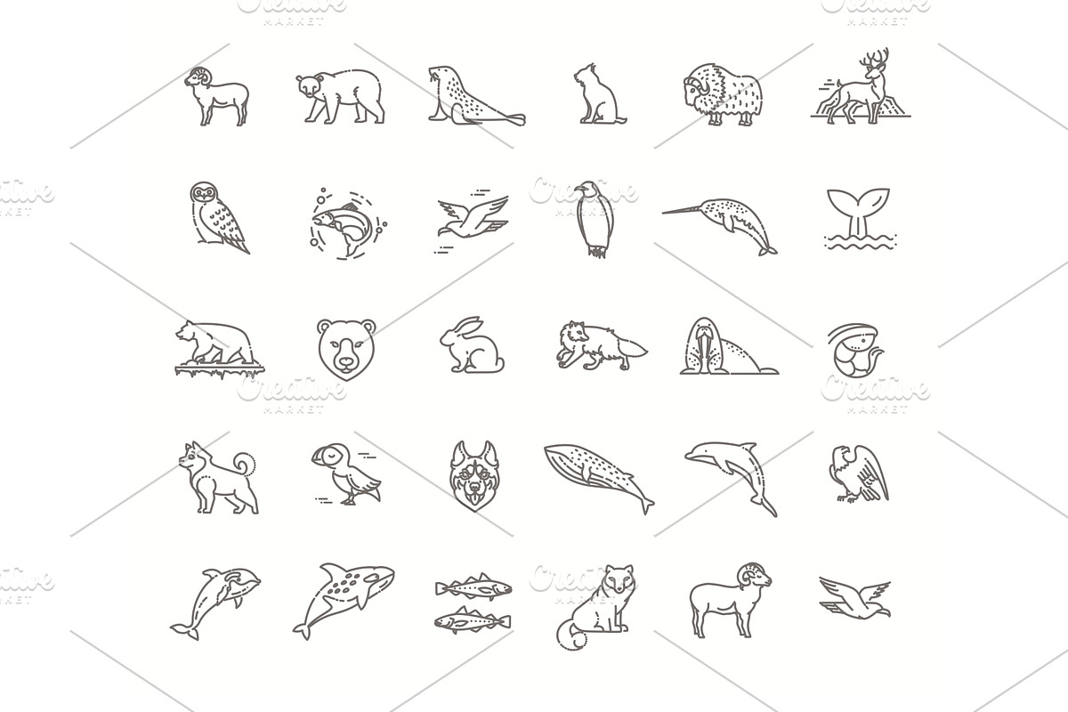 Set of linear vector Arctic animals, an Animal Illustration by Tettygreen