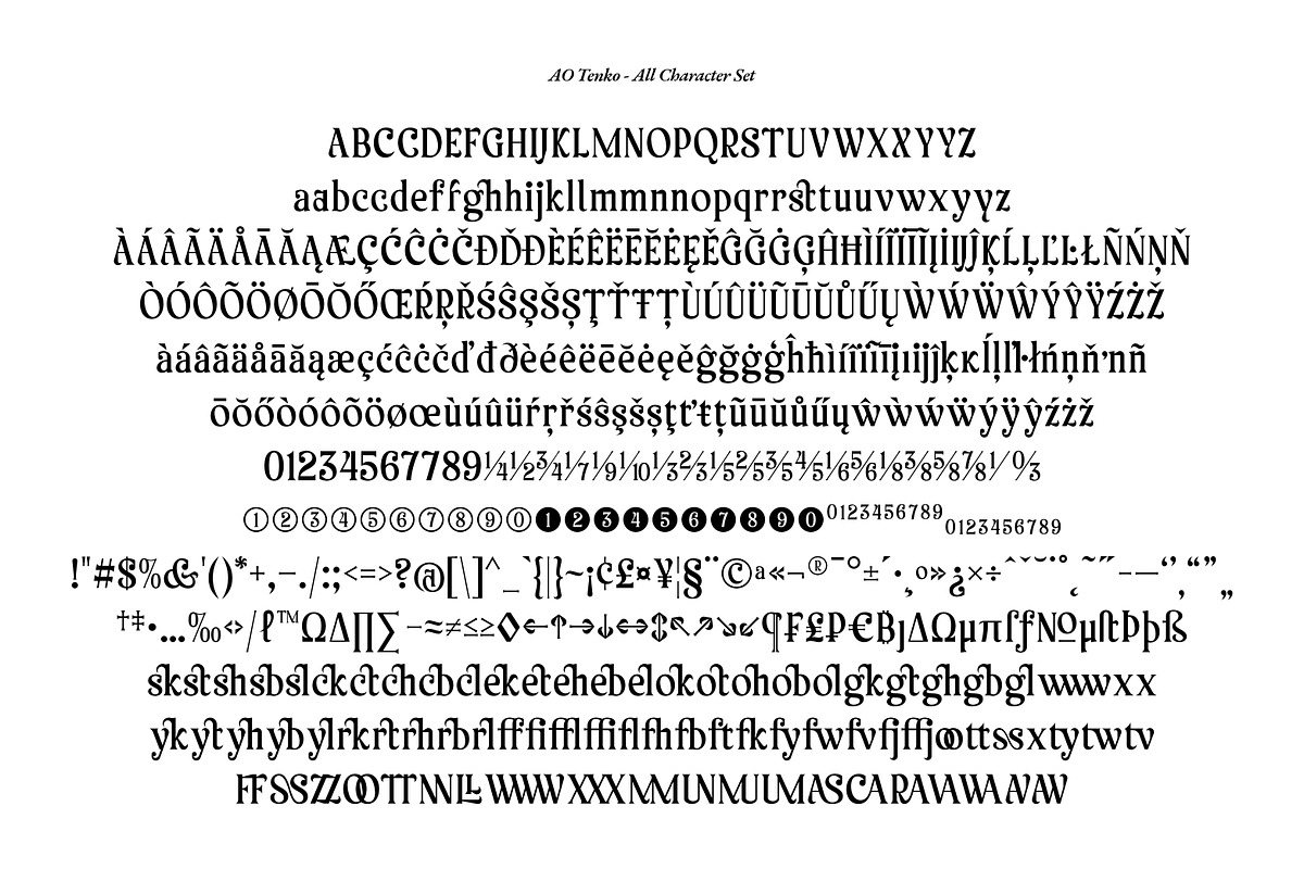 AO Tenko - Display Typeface, a Serif Font by OwunStudio (Photo 3 of 15)
