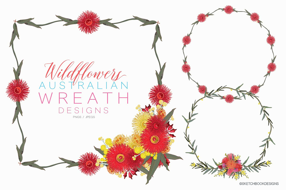 Wildflowers Australian Design Set, an Illustration by Sketchbook Designs (Photo 5 of 11)