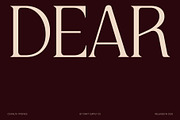 Rialta – Elegant Serif Font, a Serif Font by Craft Supply Co. (Thumbnail 2 of 8)