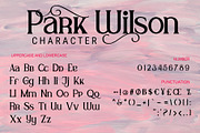 Park Wilson, a Serif Font by LetterStock (Thumbnail 8 of 8)