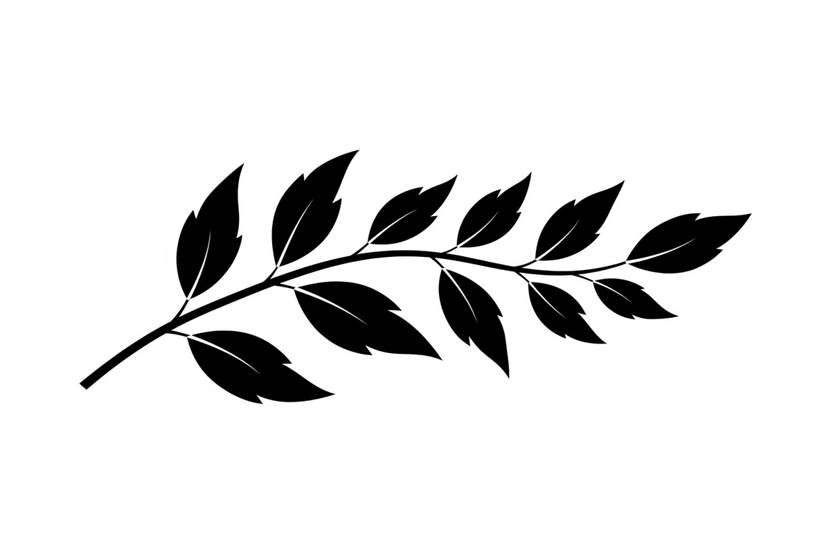 Botanical Leaf Silhouette Bundle, an Illustration by yasushie (Photo 24 of 51)