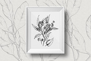 Eucalyptus Illustrations & Extras, an Illustration by Valeryia Aranovich (Thumbnail 6 of 6)