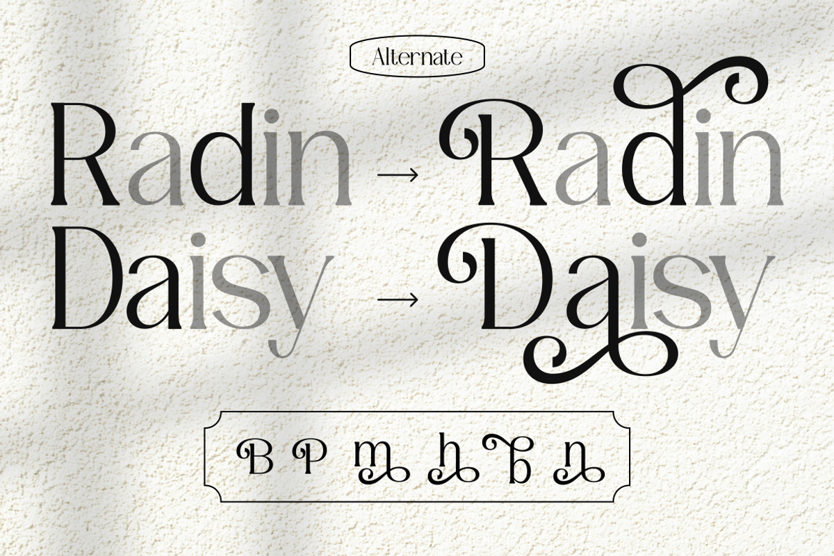 Primavele Elegant Luxury Serif Font, a Serif Font by Vadovastd (Photo 5 of 9)