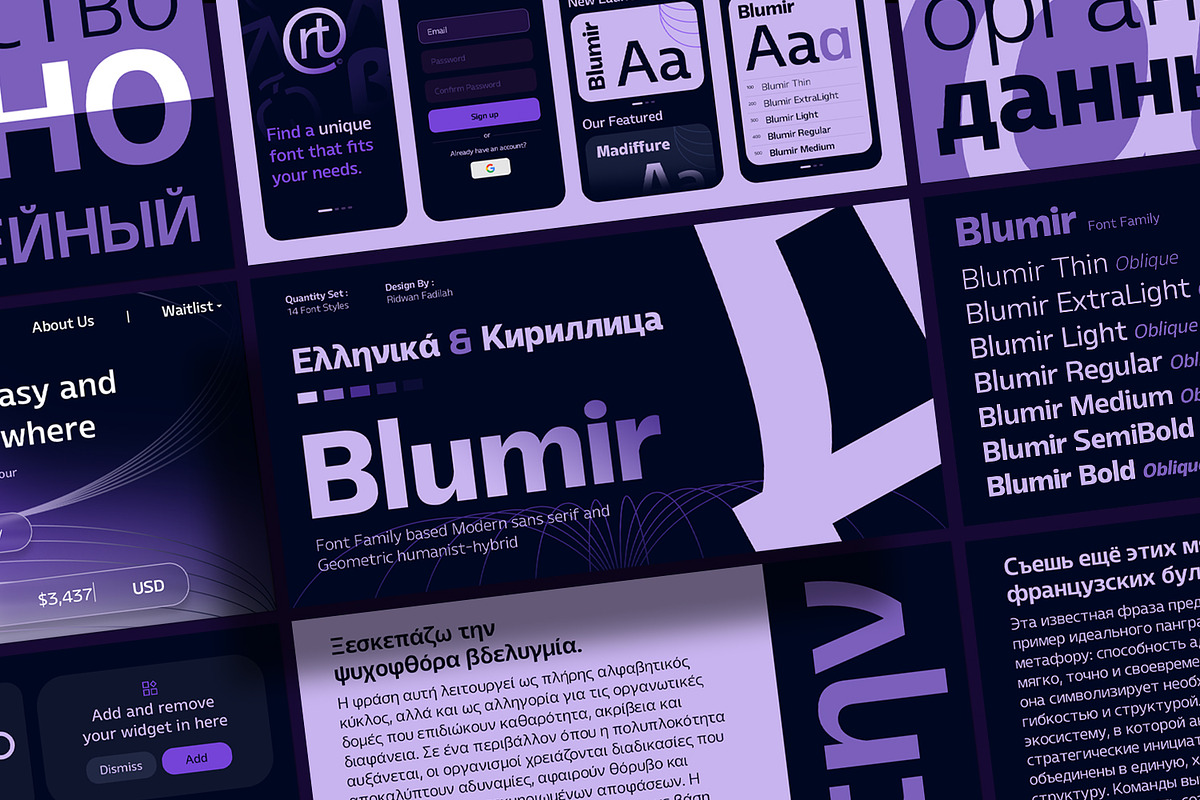 Blumir Font Family, a Sans Serif Font by Ridtype Foundry (Photo 1 of 11)