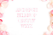 Haana Slab Serif Duo Font, a Slab Serif Font by Creativetacos (Thumbnail 3 of 6)