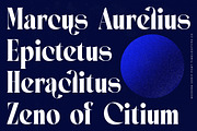 Seafibe Modern Serif Display, a Serif Font by timelesstype.co (Thumbnail 3 of 20)