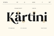 Stiepa | Modern Serif & Sans, a Serif Font by Dora Typefoundry (Thumbnail 18 of 28)