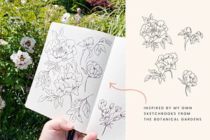 Floral Sketchbook Vectors