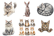 Beautiful Watercolor Cats Clipart, an Illustration by Pixels.Craft (Thumbnail 2 of 5)