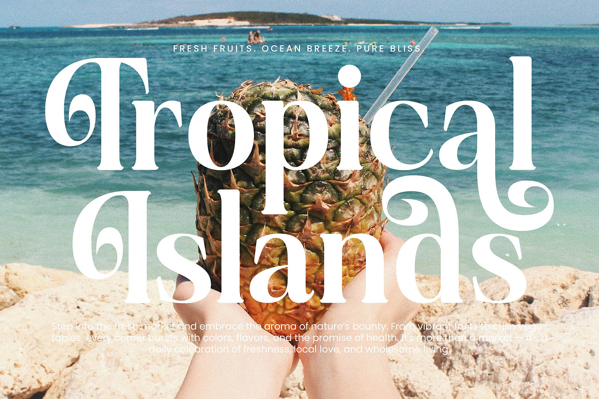 Quarky Kitchen Modern Serif Font, a Serif Font by timelesstype.co (Photo 15 of 20)