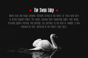 Grivolla, a Sans Serif Font by ghozai studio (Thumbnail 4 of 8)