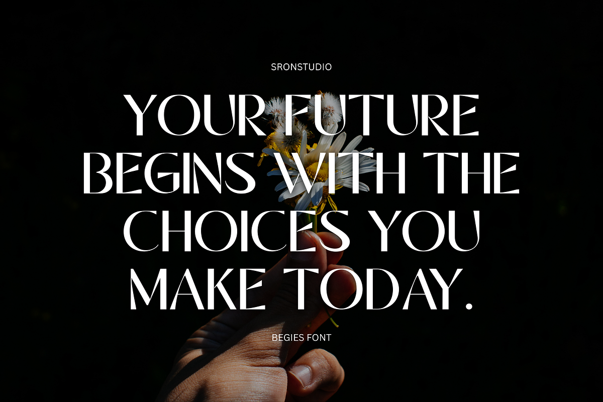 Begies - Modern Display Font, a Sans Serif Font by Sronstudio (Photo 4 of 14)