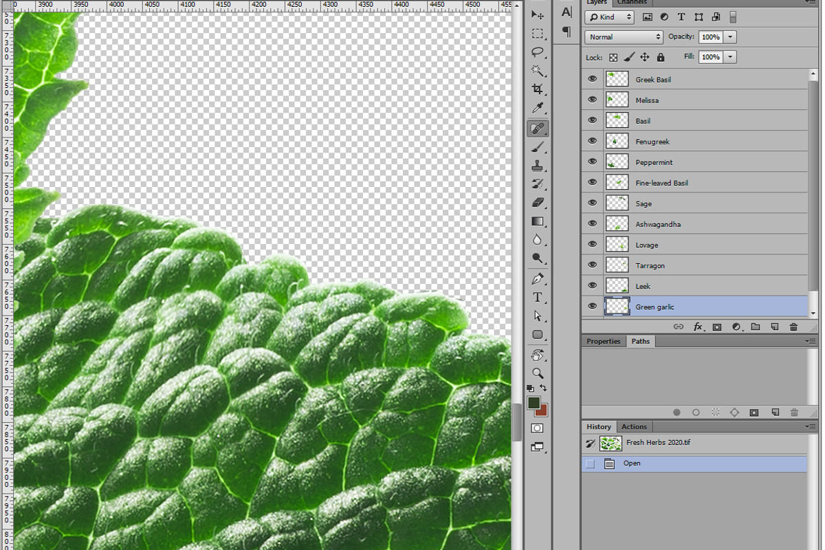 Fresh Herbs, an Object Graphic by Hortimages (Photo 2 of 2)
