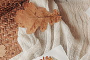 Woodland Watercolor Autumn Set, an Animal Illustration by Jenteva Art (Thumbnail 6 of 15)