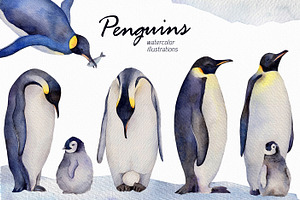 Emperor penguin Watercolor set