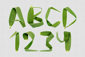 Reed Font