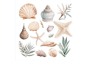 Prompt Sea Shells Flower Clipart, a Decorative Illustration by Creative design (Thumbnail 2 of 7)