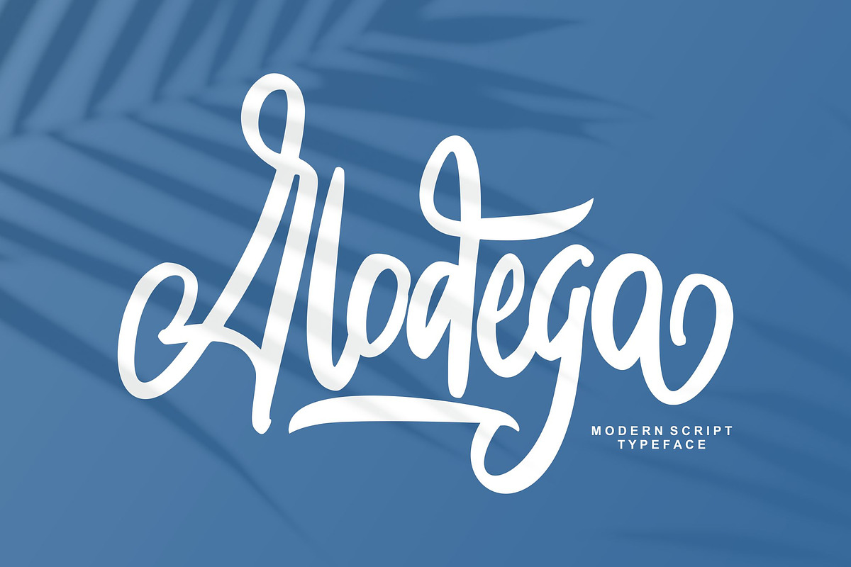 Alodega Modern Script, a Script Font by Fannan Studio (Photo 1 of 6)