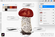 Oil Pastels Procreate Brushes, a Brush Add-On by owlasya (Thumbnail 5 of 8)