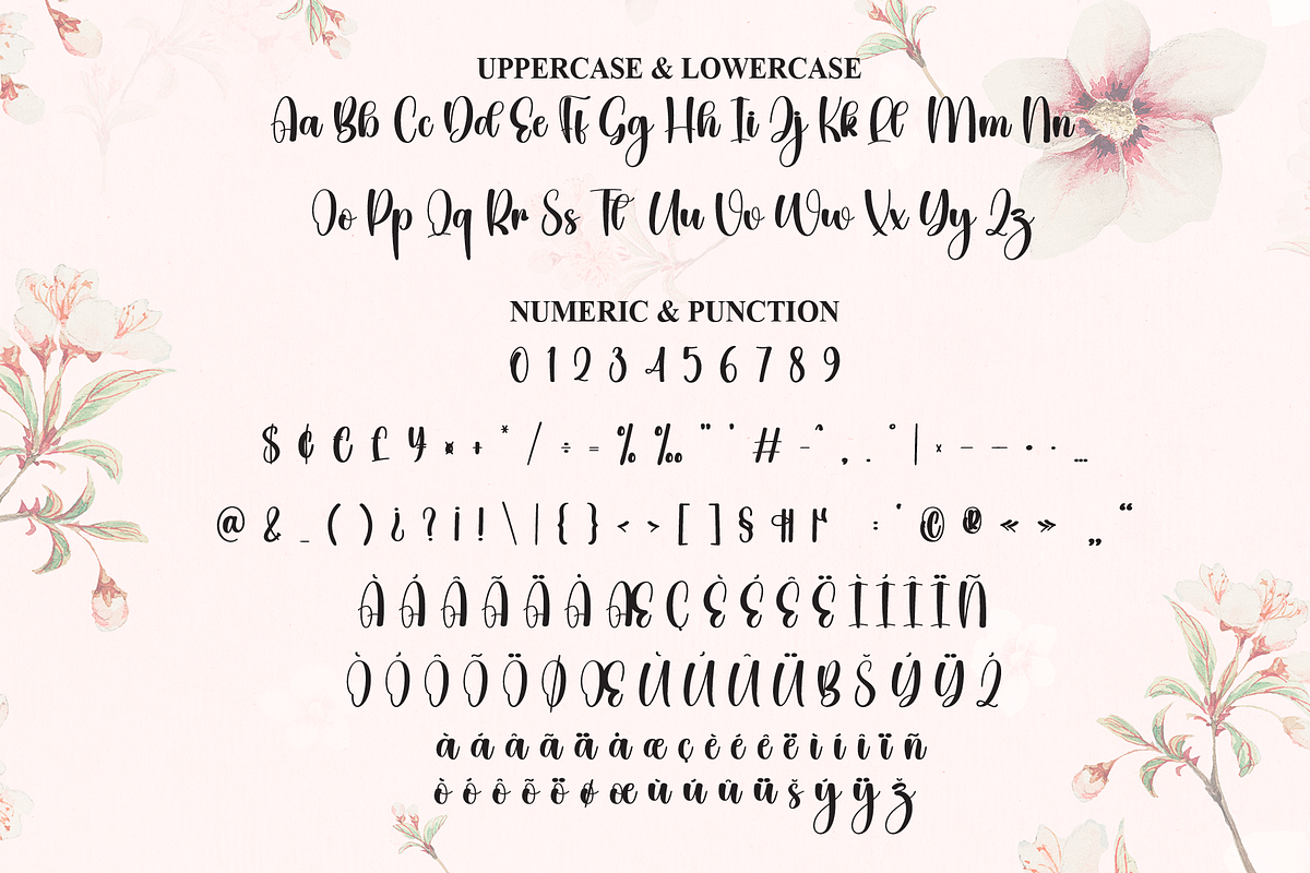 Calya | Script Font, a Handwritten Font by Scratchones (Photo 7 of 9)