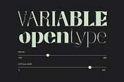 Segina - Decorative Serif, a Serif Font by creativemedialab (Thumbnail 11 of 12)