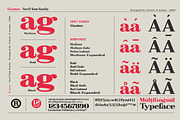 Giantus - Serif font family, a Serif Font by Artistic & Unique (Thumbnail 10 of 13)
