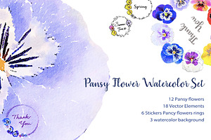 Pansy Flowers Watercolor Set