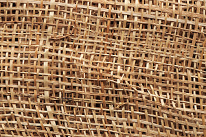 Reed texture containing abstract, background, and brown