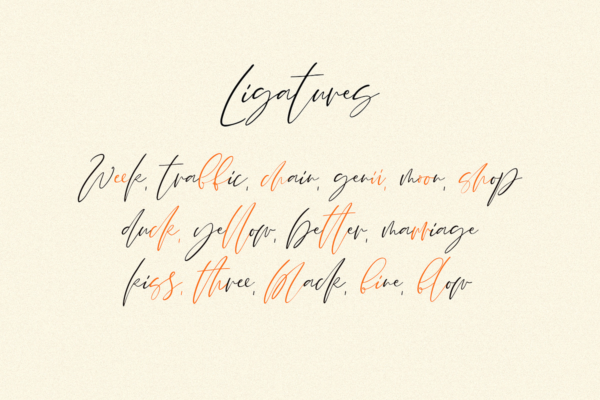 Nicoletta handwritten signature font, a Handwritten Font by BilberryCreates (Photo 11 of 11)