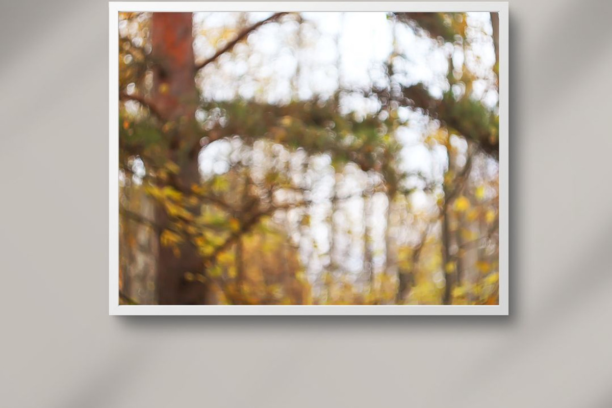 Autumn nature photography set, a Nature Photo by pictures for you (Photo 3 of 22)
