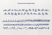 Iris Bloom: Elegant Script Font, a Script Font by Anastasiia VNSK (Thumbnail 6 of 11)