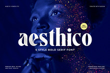 Aesthico Serif Font Family (6 Fonts)