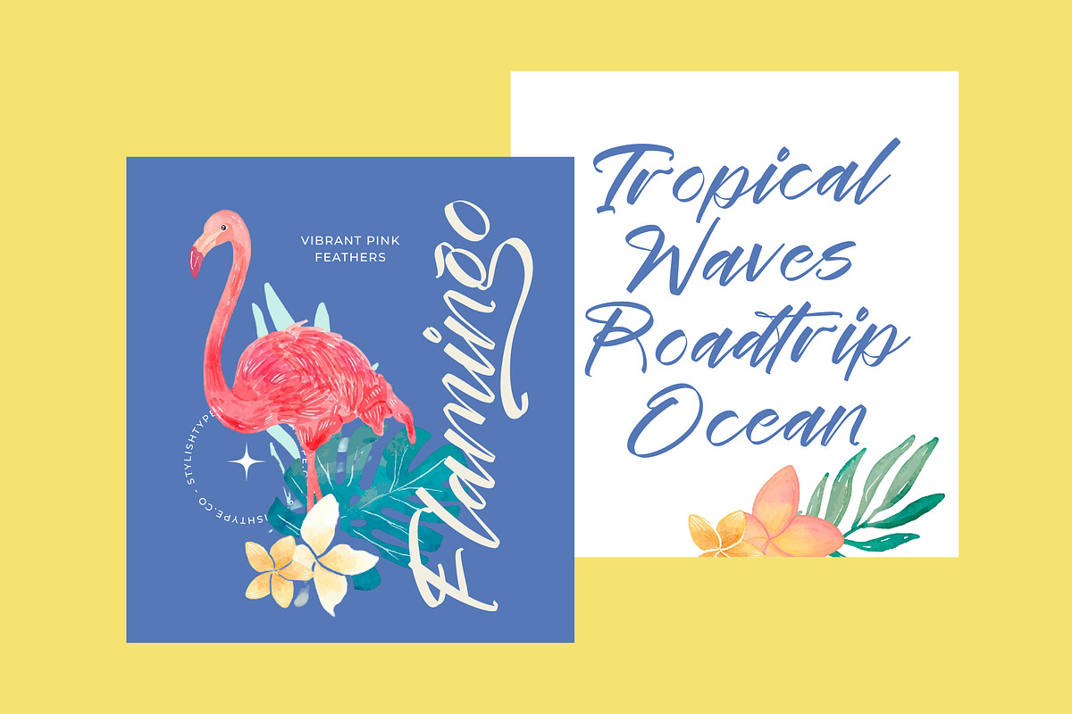 Festival Routes Modern Script Font, a Script Font by stylishtype.co (Photo 2 of 15)