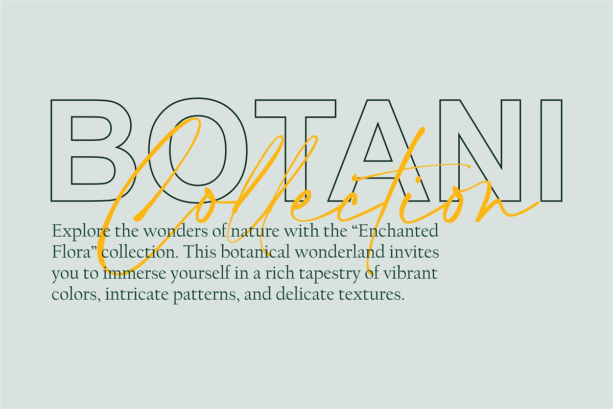 Aurellie Calestion Signature Font, a Script Font by typeline studio (Photo 4 of 10)