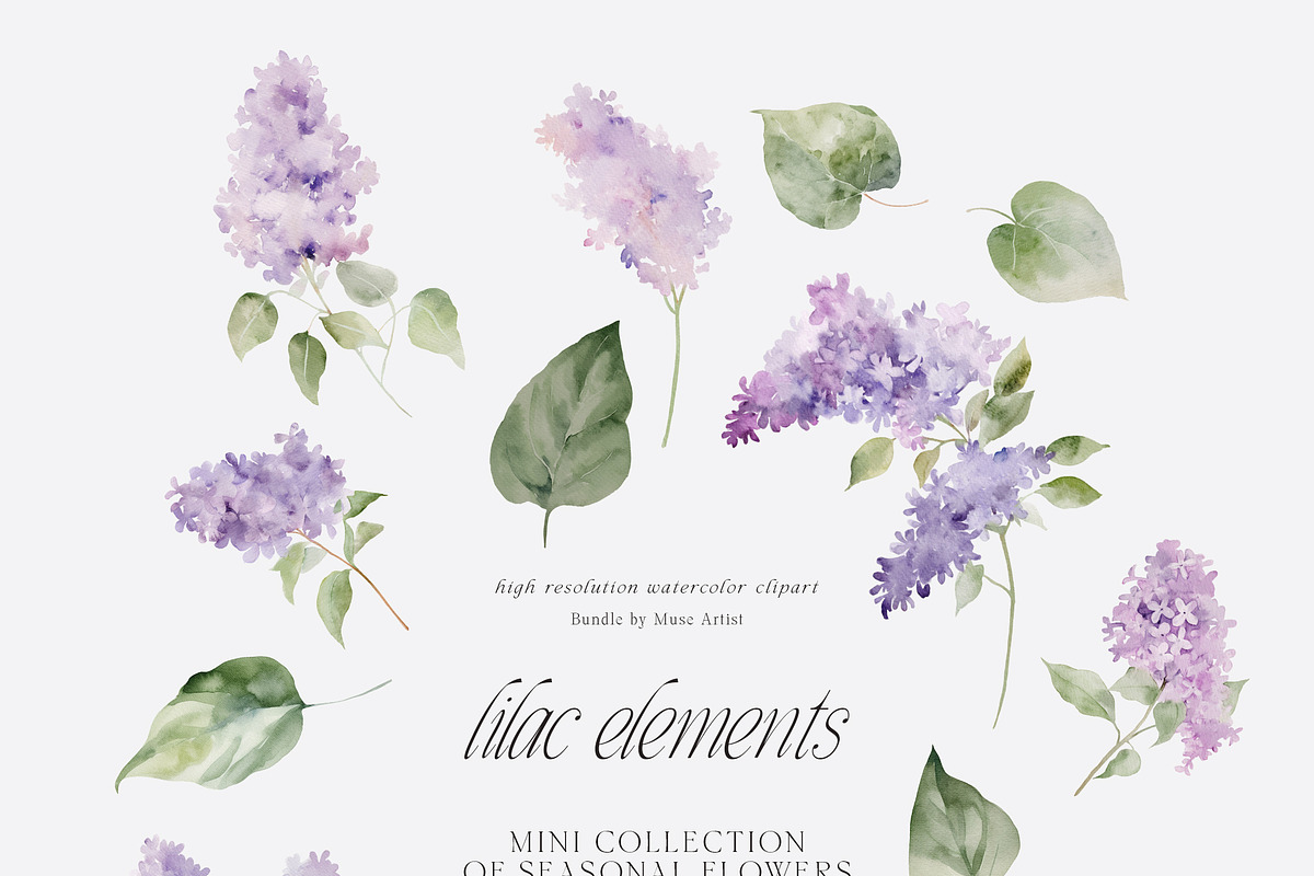 SPRING BOX Watercolor Bundle 400+, a Decorative Illustration by Muse Artist (Photo 31 of 99)