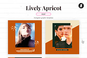 Lively apricot social media graphic, a Social Media Template by Chanut is industries (Thumbnail 4 of 8)
