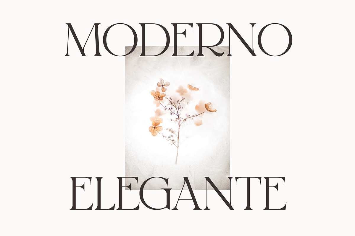 Reglarik | Modern Serif, a Serif Font by Denustudios (Photo 4 of 10)