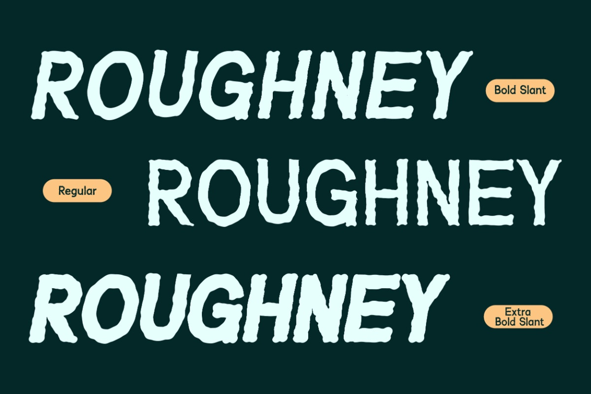VT Roughney - Handdrawn Font, a Sans Serif Font by ViactionType (Photo 3 of 14)