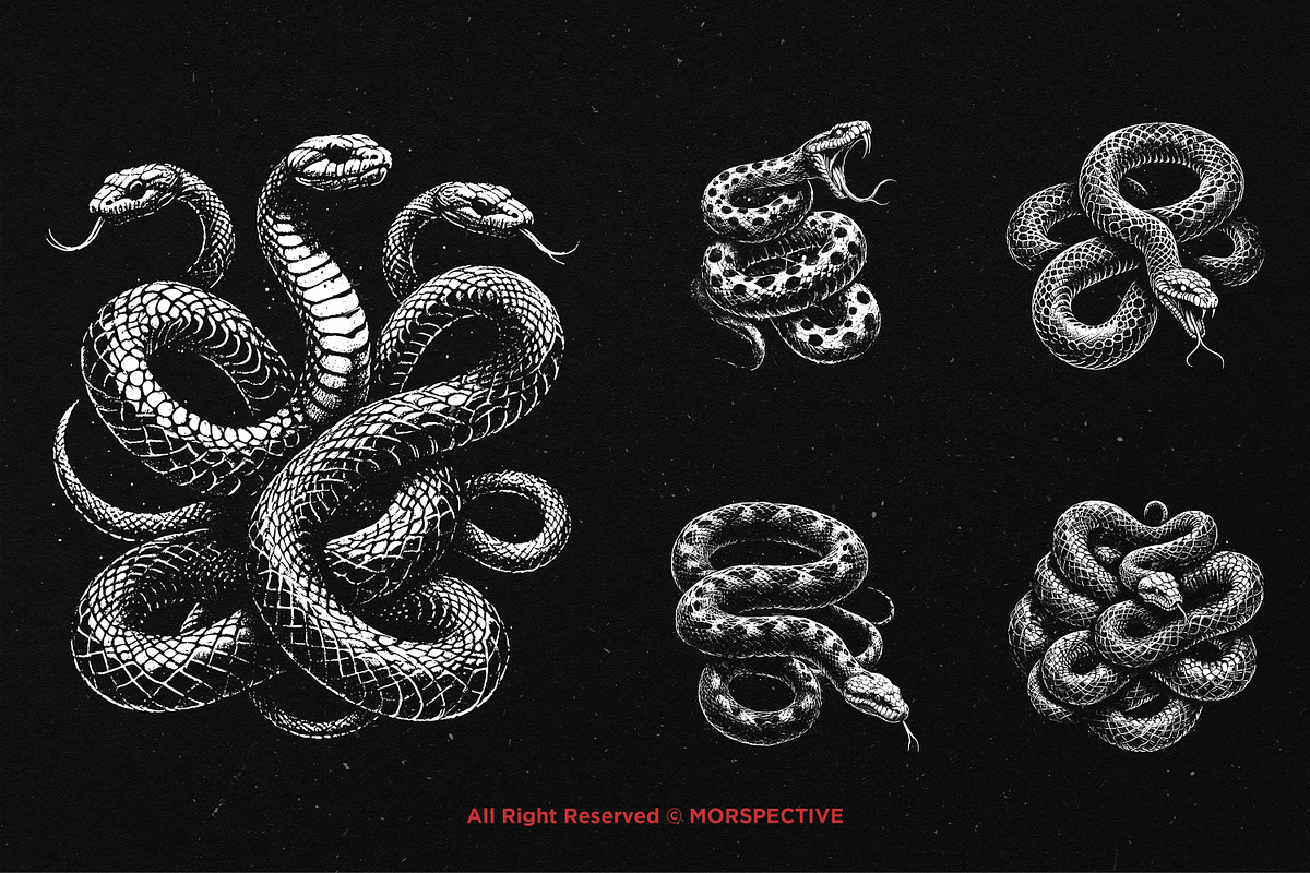 10 Bundle Dark Art Python Snake, an Illustration by Morspective (Photo 5 of 7)