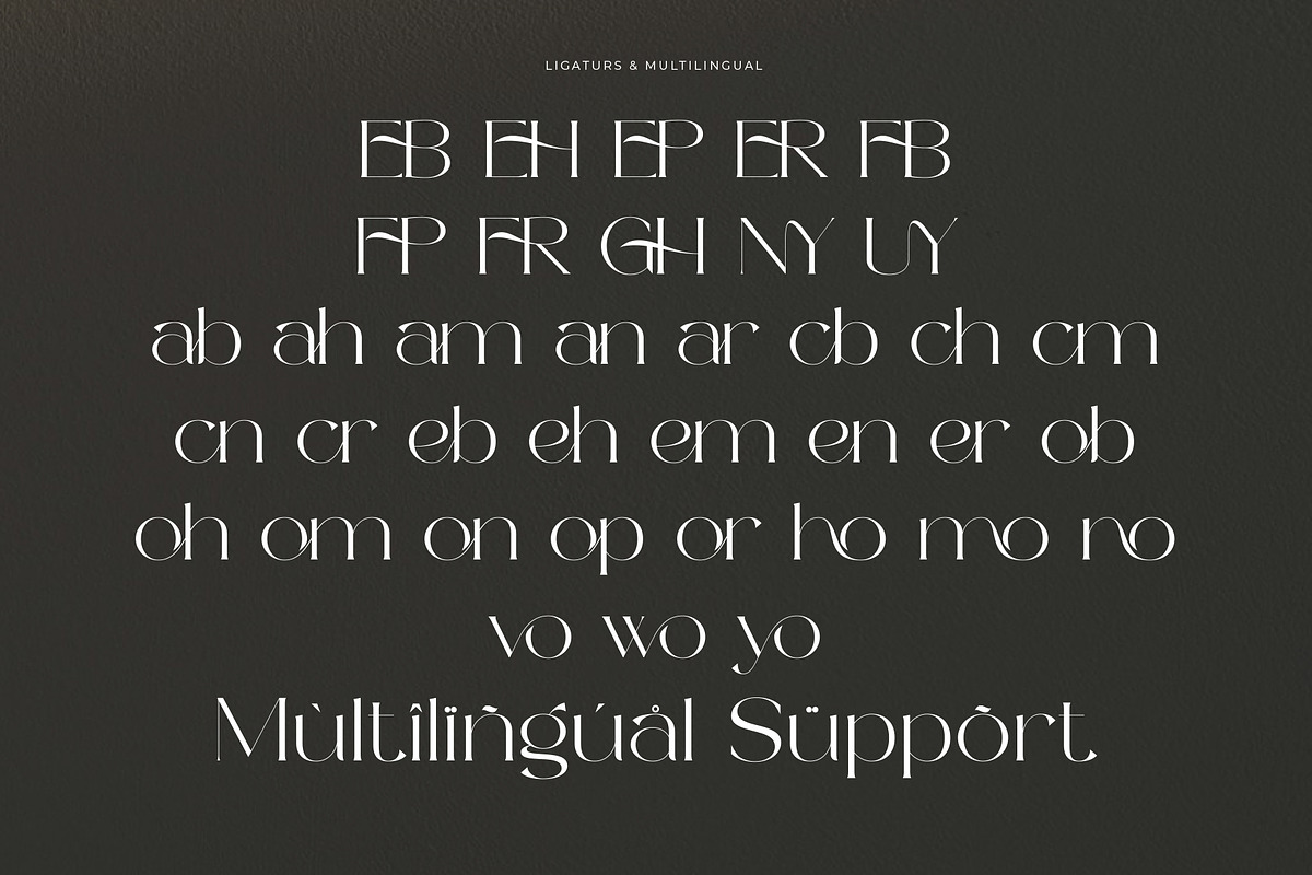 Bernya|Beauty Modern Serif Typeface, a Serif Font by Muflieart (Photo 10 of 10)