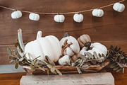 Fall Stock Photo Bundle Pumpkins, a Holiday Photo by Hudson Farmhouse (Thumbnail 4 of 5)