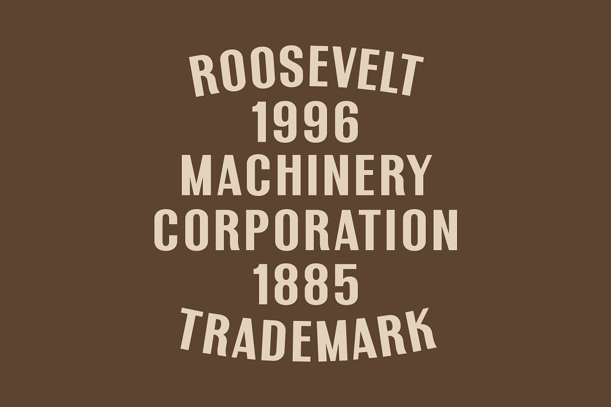 Newsstand - A Classic Vintage Font, a Sans Serif Font by The Type Fella (Photo 7 of 7)