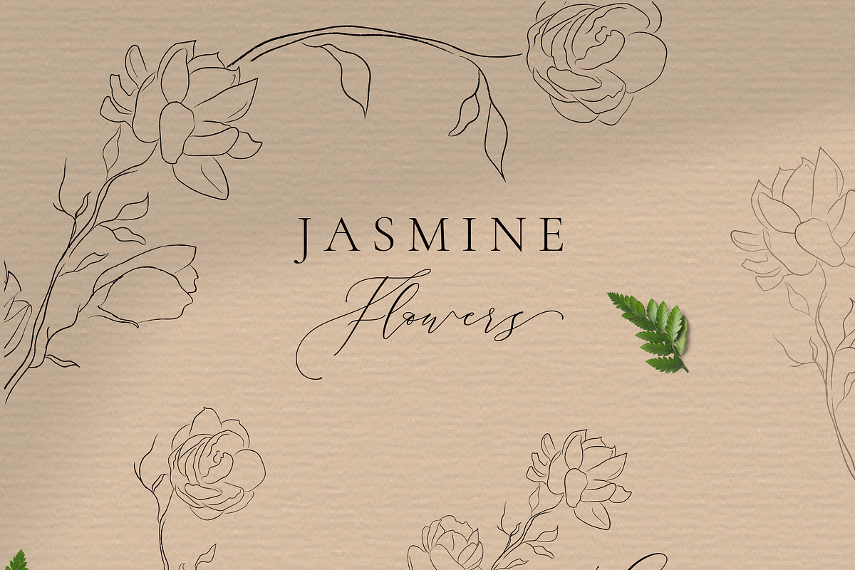 Jasmine Flowers Line Art Elements, an Illustration by Olya Creative (Photo 1 of 6)