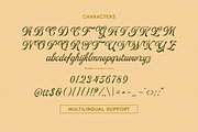 Beauty Reflections - Elegant Script, a Script Font by Letterhend Studio (Thumbnail 5 of 9)
