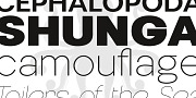 Nemorosa, a Sans Serif Font by Octotypo (Thumbnail 2 of 7)