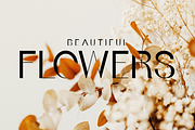 Brenly - Variable Font, a Sans Serif Font by Valentino Vergan (Thumbnail 2 of 10)