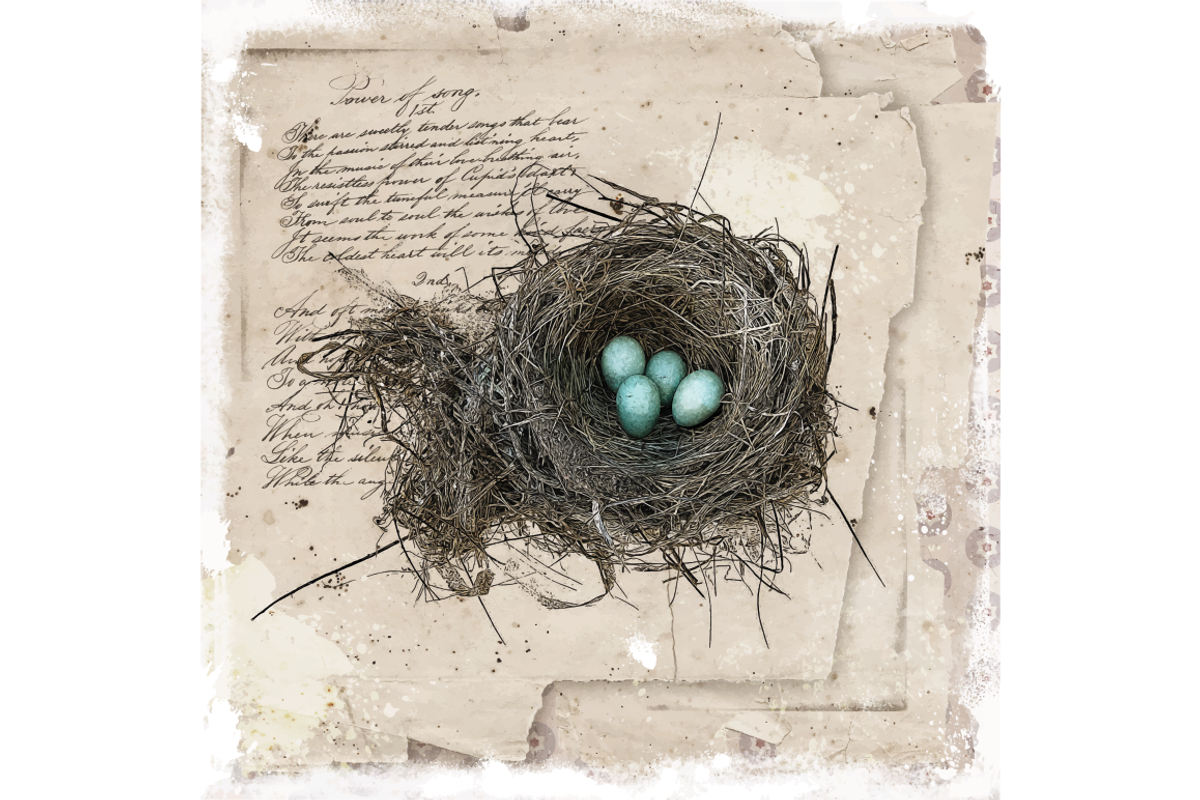 Robin's Nest - Sepia Edition, an Illustration by Digital Art Downloads (Photo 3 of 3)